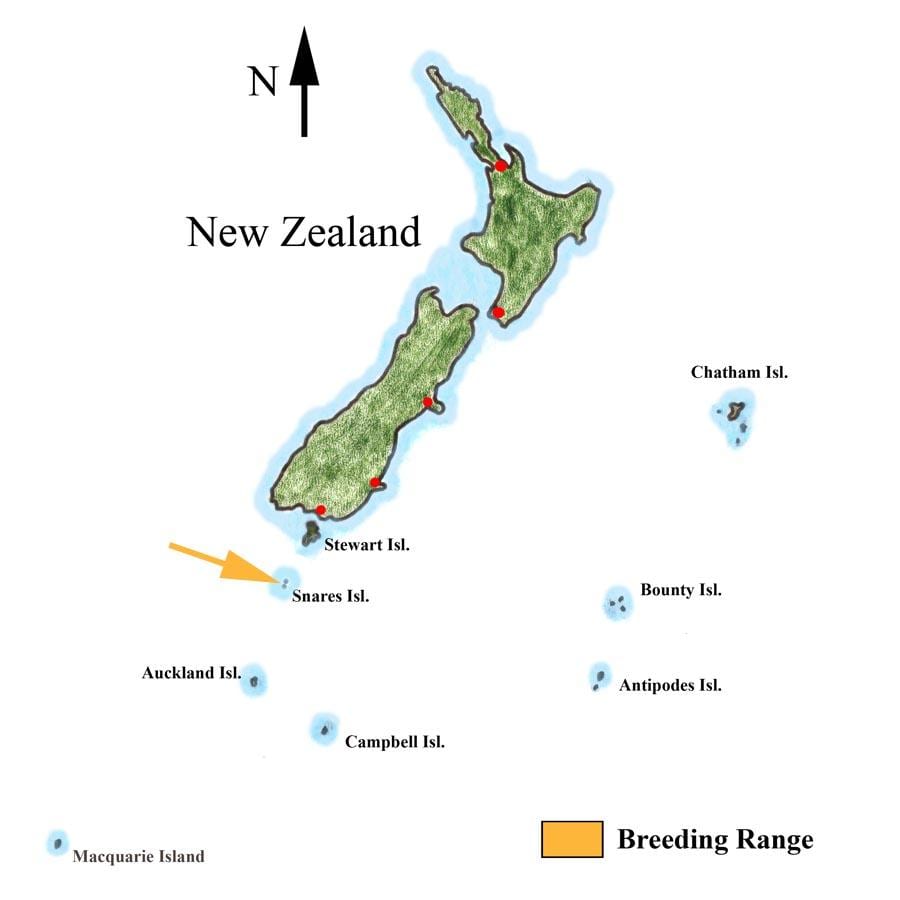 Bản đồ của new zealand và đảo xung quanh