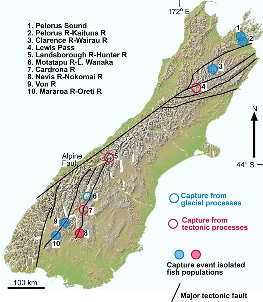 Bản đồ của hẻm núi, sông new zealand