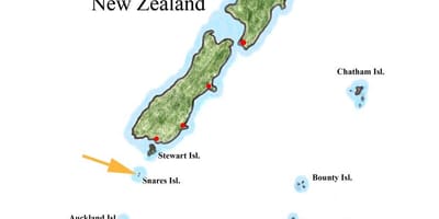 Bản đồ của new zealand và đảo xung quanh