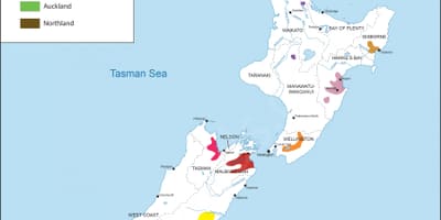 New zealand vùng rượu vang bản đồ